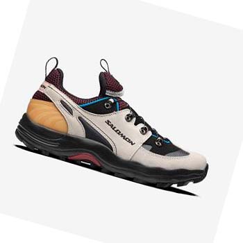 Salomon RAID WIND ADVANCED Tornacipő Férfi Bézs | HU 2169GSO